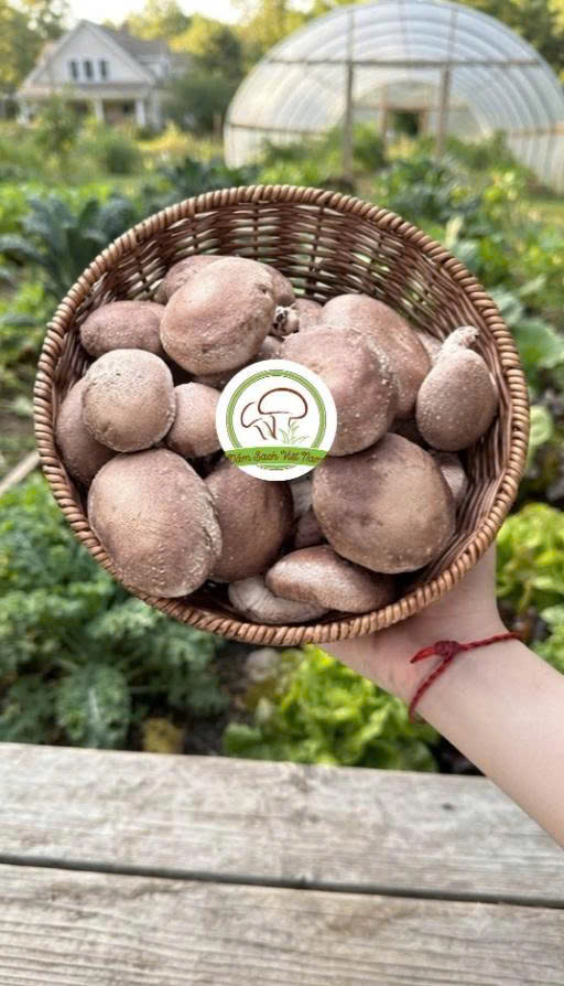 Bí quyết chế biến các món nấm