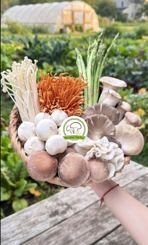 Bí quyết chế biến các món nấm